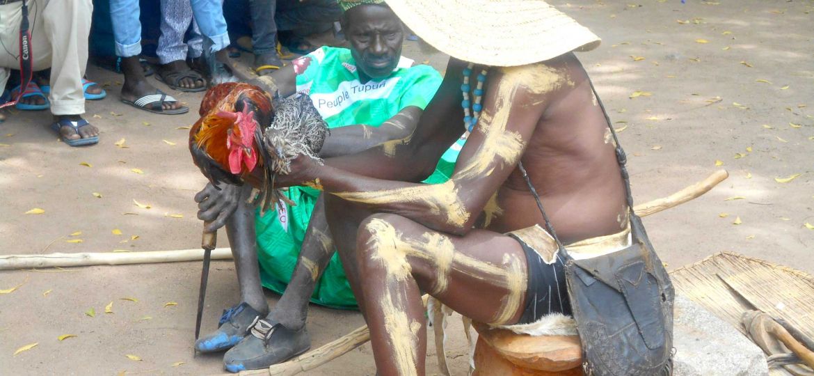 Fête du coq chez les Toupouri