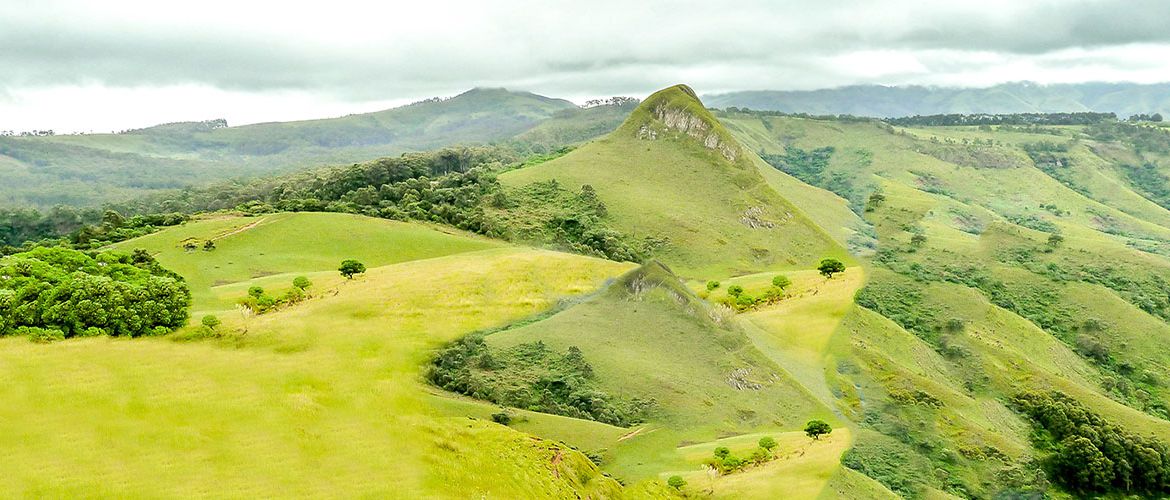 Les hauts plateaux